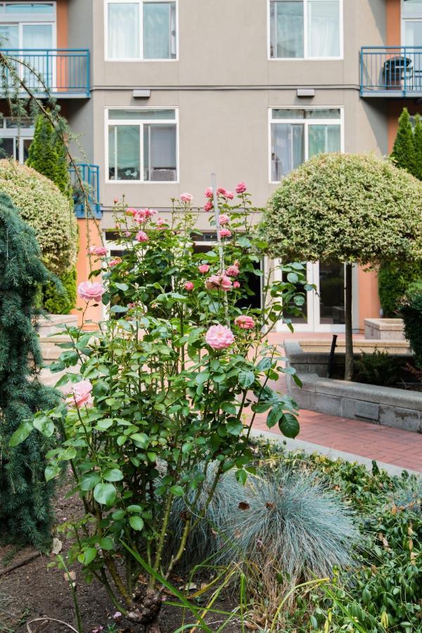 City Water View Oasis With Pool & Gym Near Cruise In Heart Of Seattle Luaran gambar